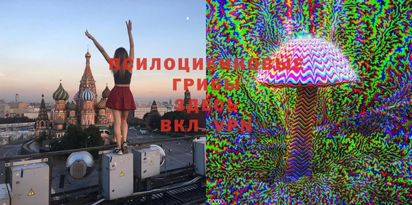 спиды Верея