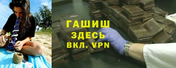 спиды Богородицк
