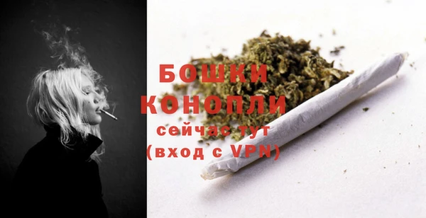 винт Богданович