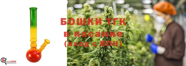 спиды Богородицк
