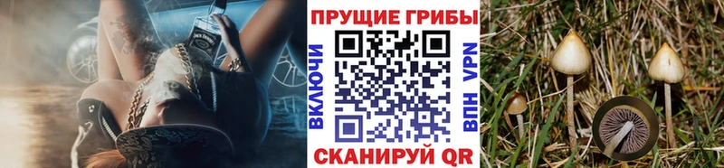 гидра ТОР  где найти   Жирновск  Галлюциногенные грибы Magic Shrooms 